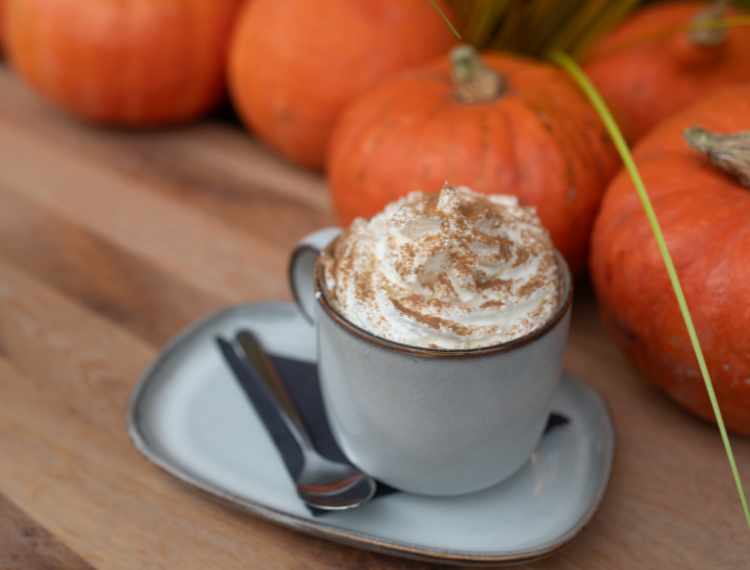Sezóna pumpkin spice zahájena
